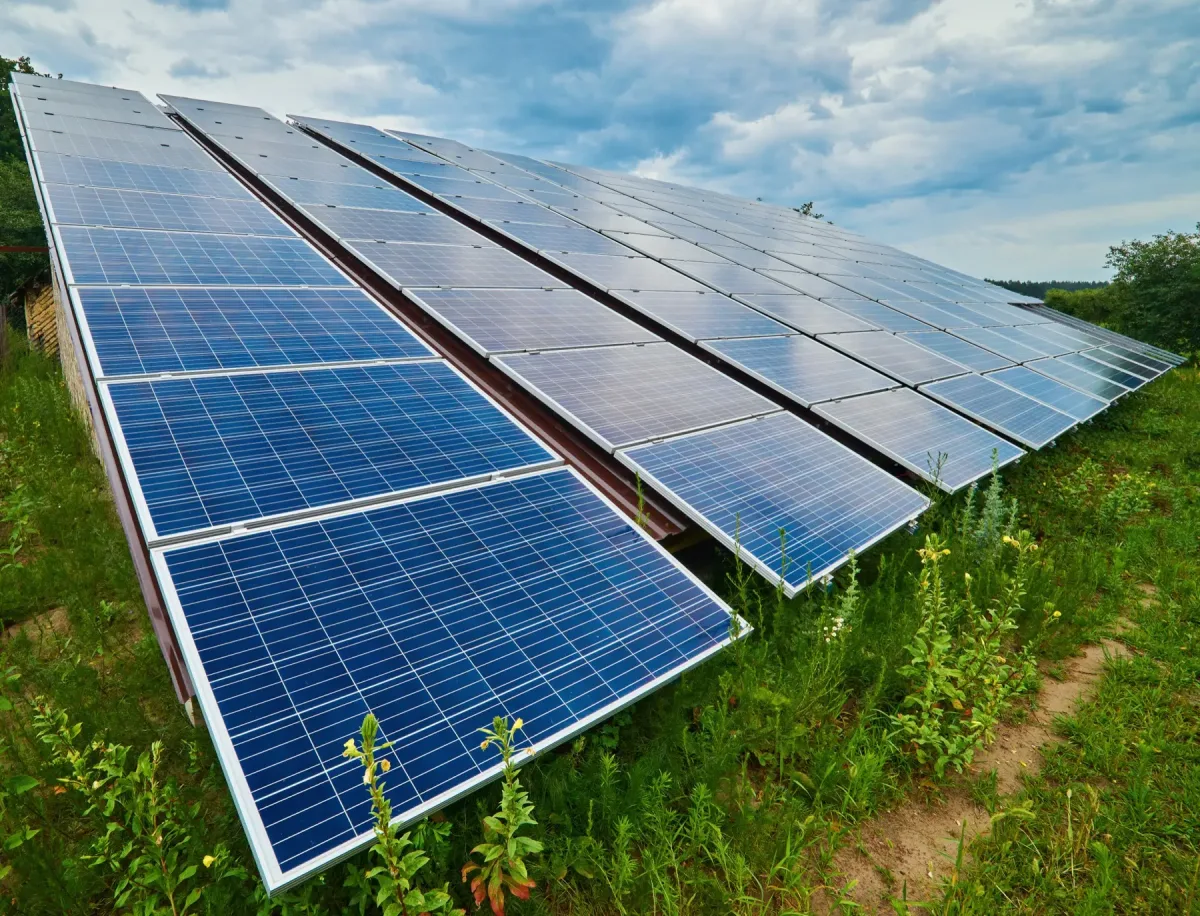 Solar panels that power the greenhouse